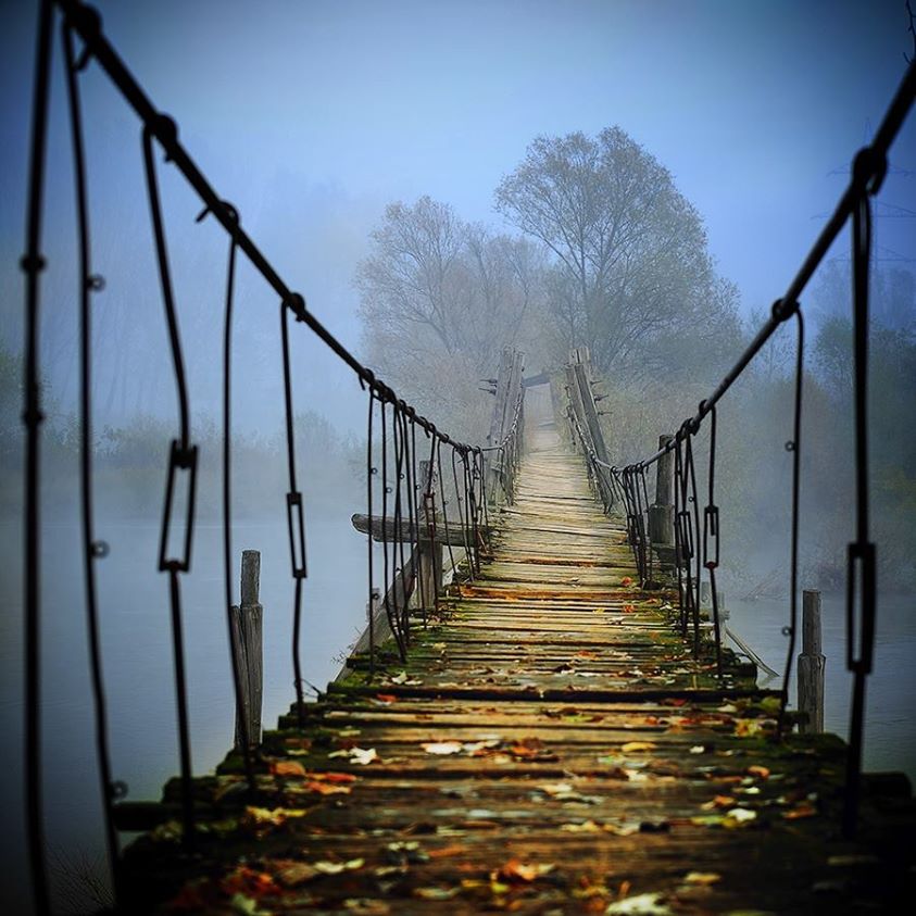 Le pont entre saisons - 1