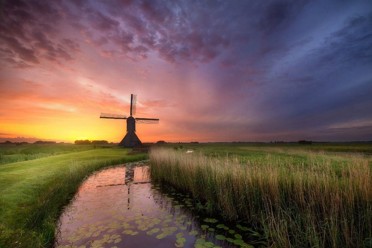 Le moulin de la semaine