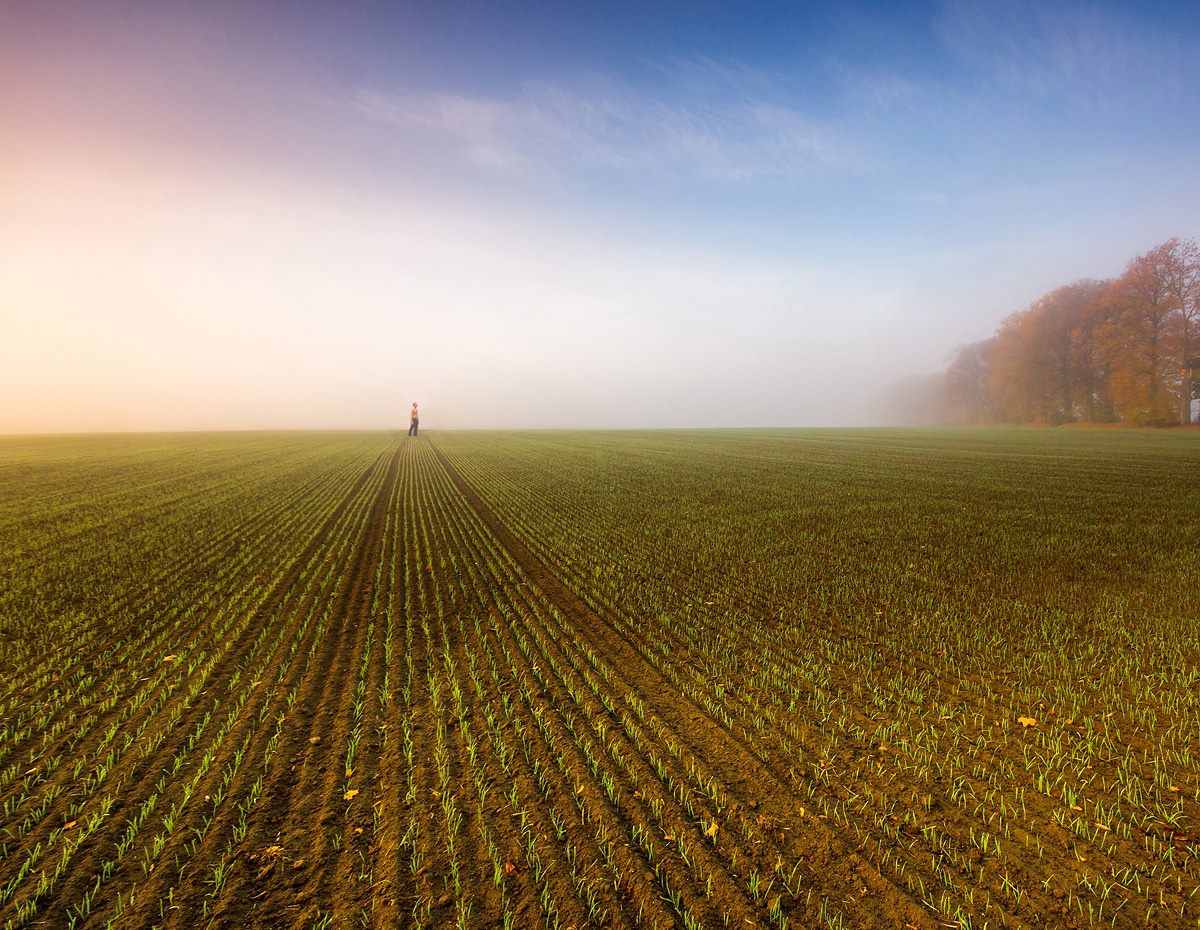 Dans la campagne profonde