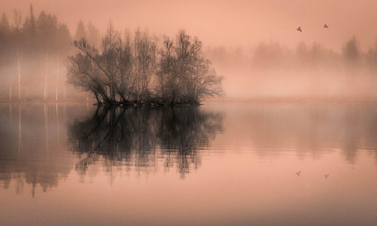 Drôle de brouillard