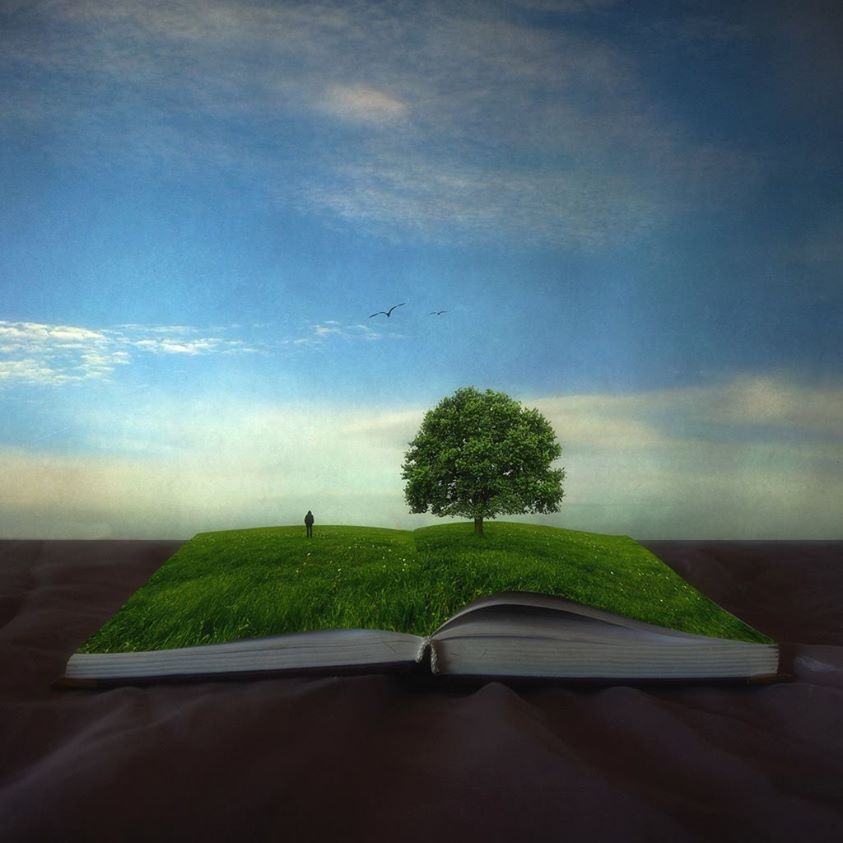 Tous les livres sont dans la nature