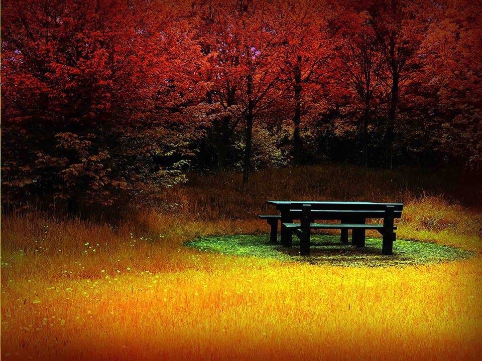 Les adieux d’automne