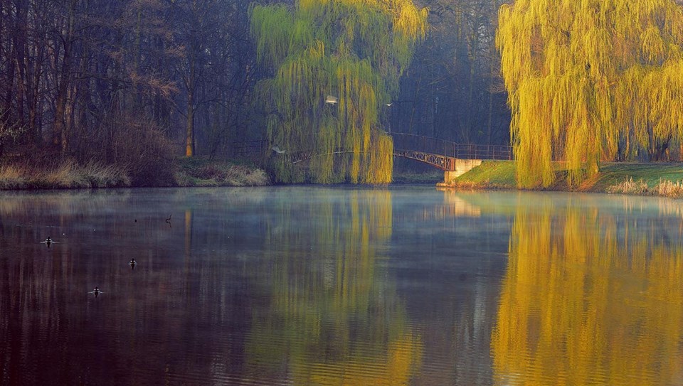 Le pont entre saisons - 2