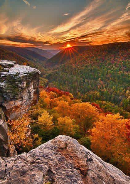 Songes d’une nuit d’automne