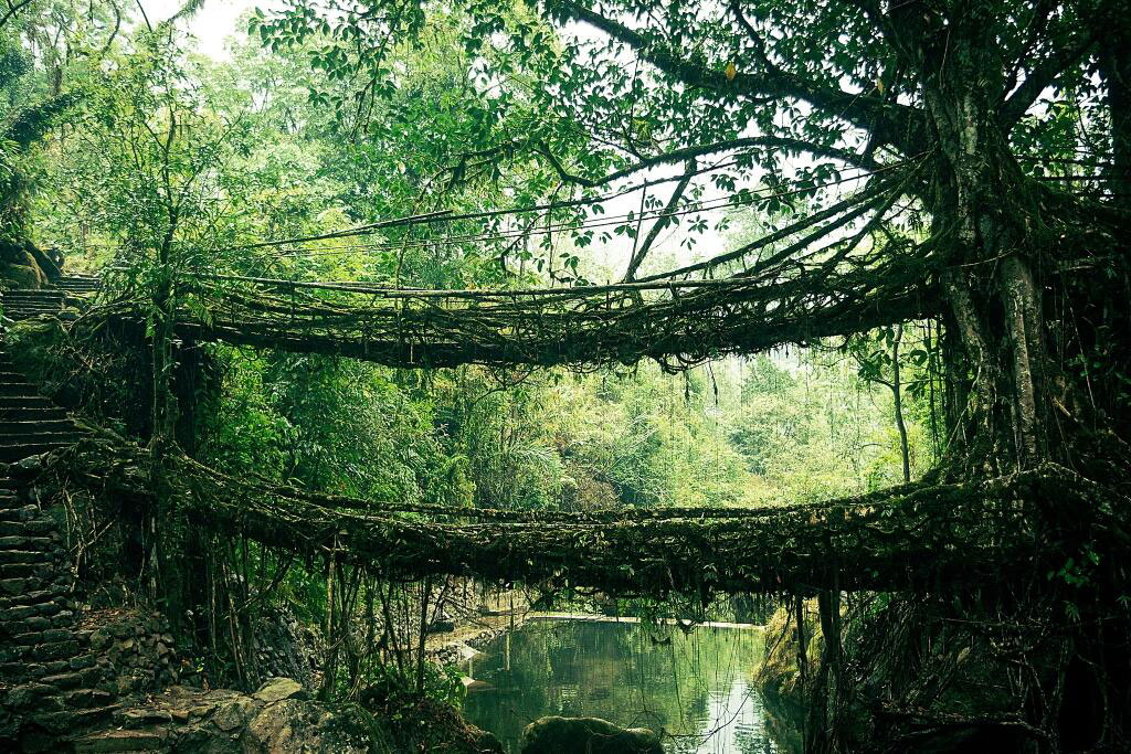 Le pont des fous (Inde