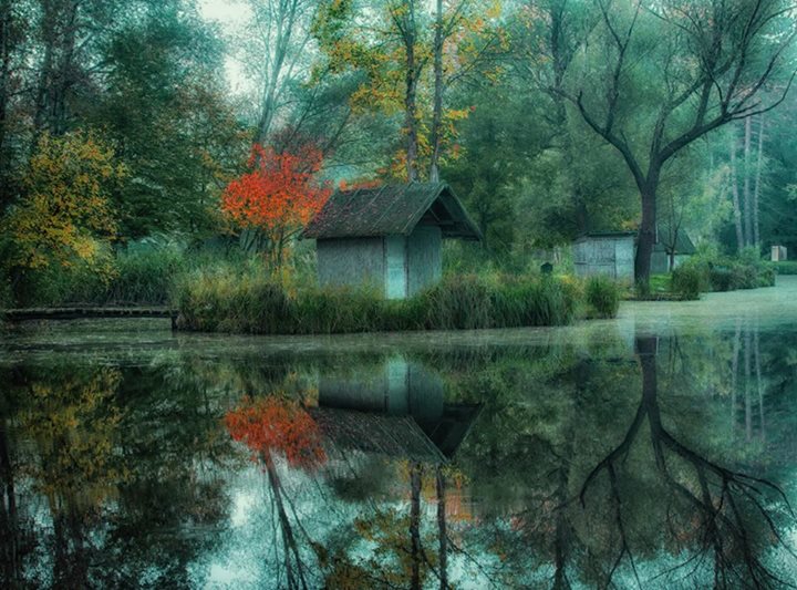 Le blues de la nature