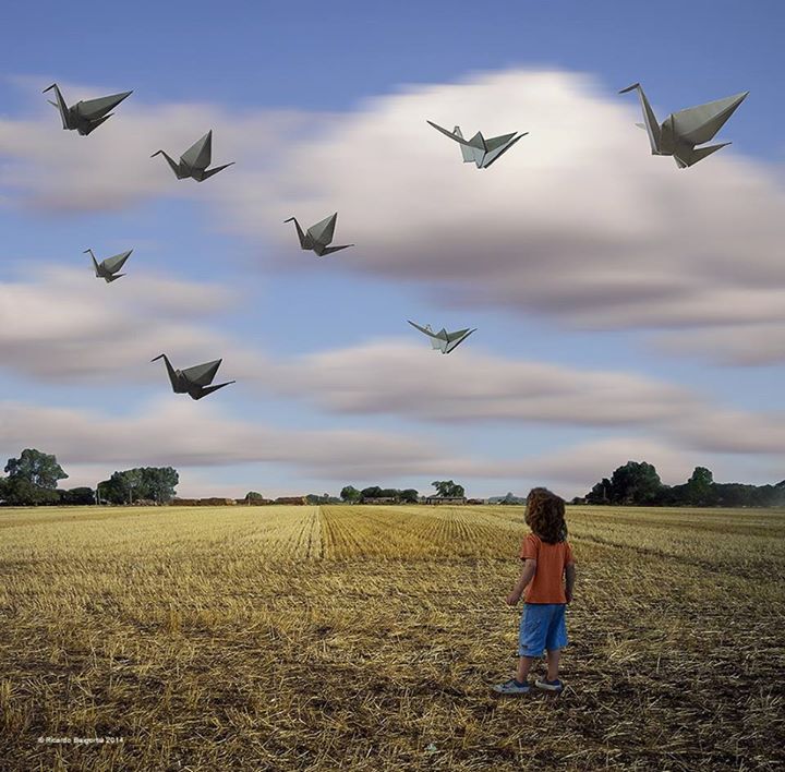 La migration des cocottes