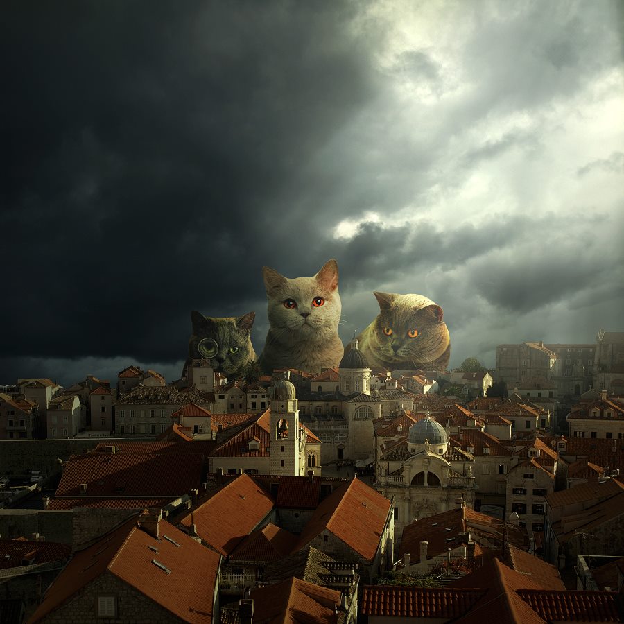 Ch’est nous les chats pitres