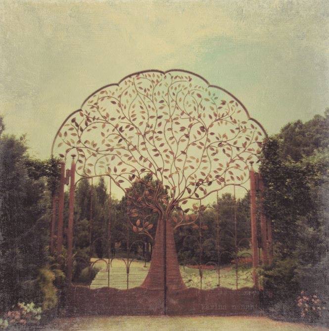 Le portail des rêves