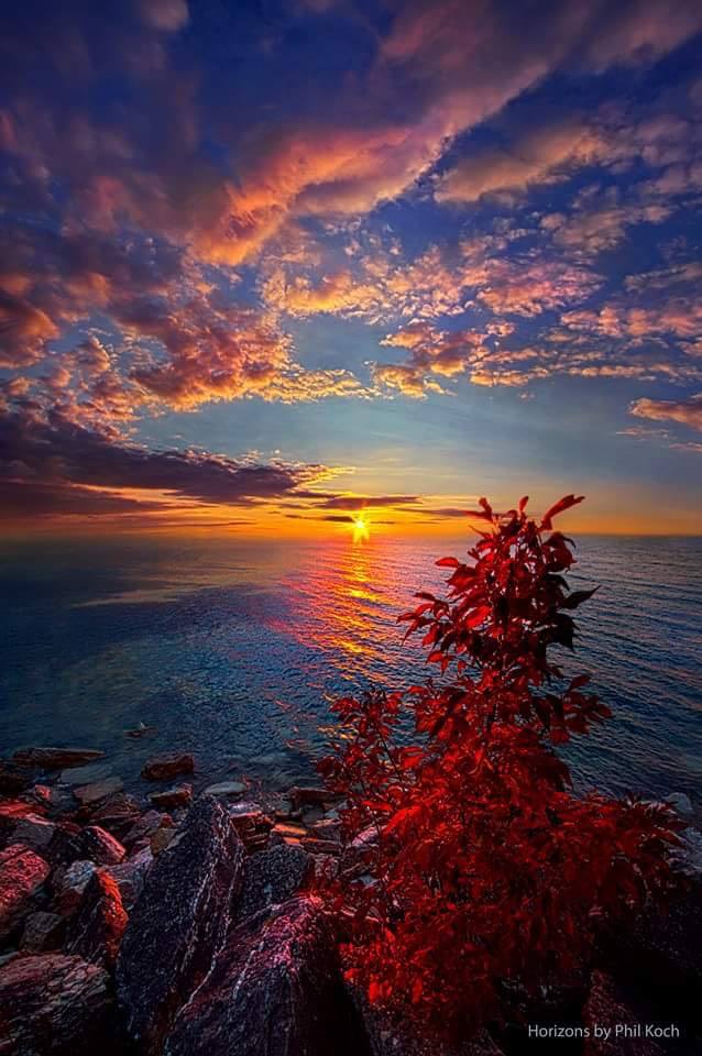 L’amour en couleurs