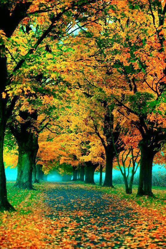 Couleurs d’anniversaire