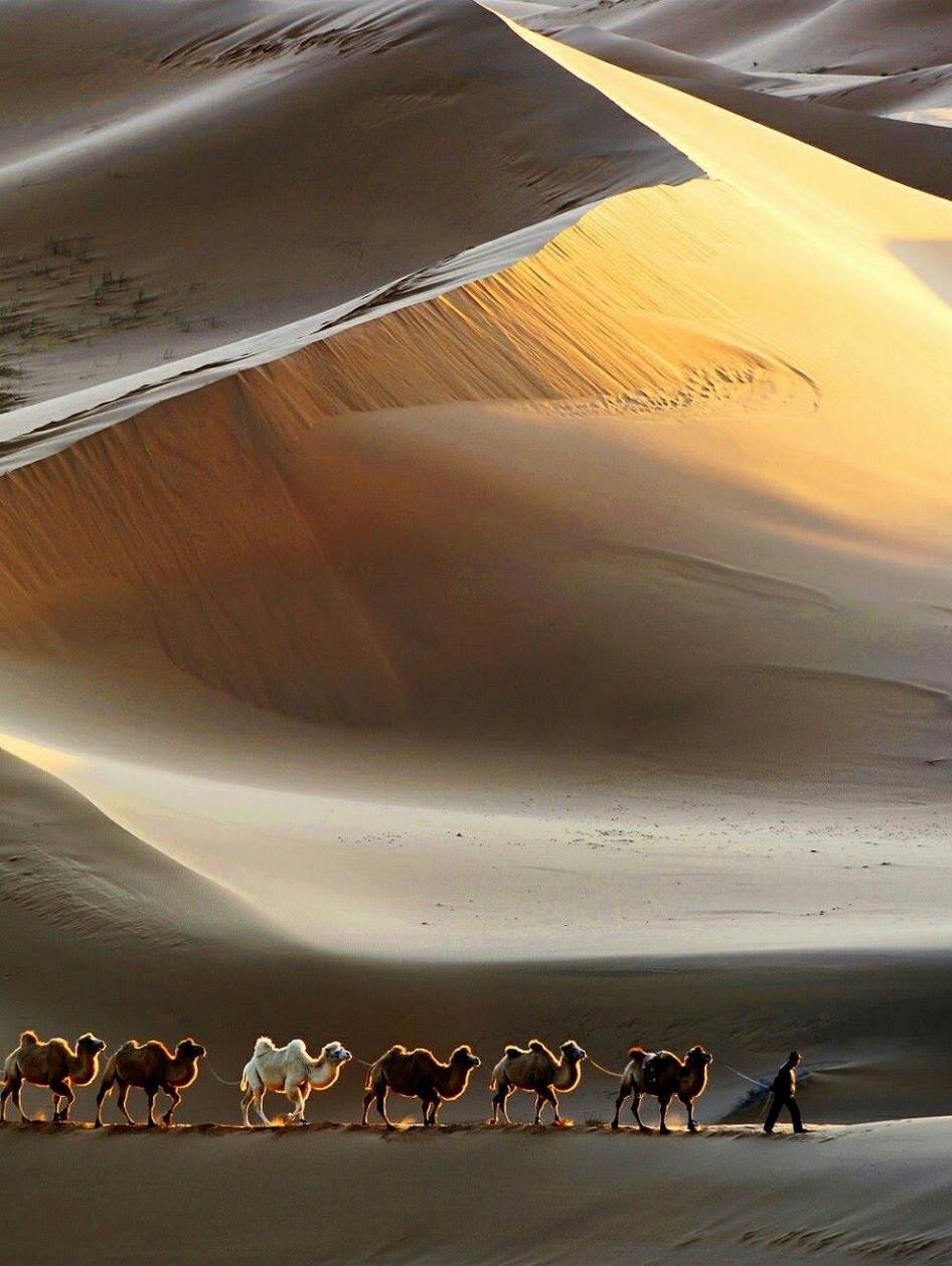 Et je compte les dunes