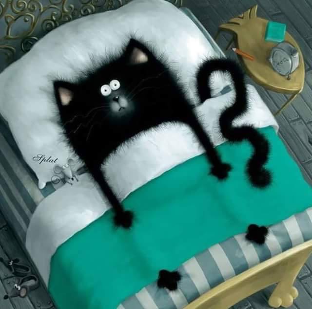 Le cauchemar psy-chat-moteur
