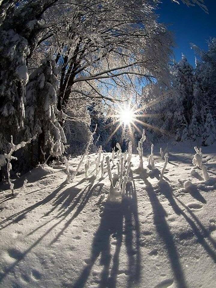 Le matin des lutins