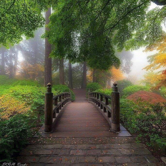 Le pont entre les fêtes