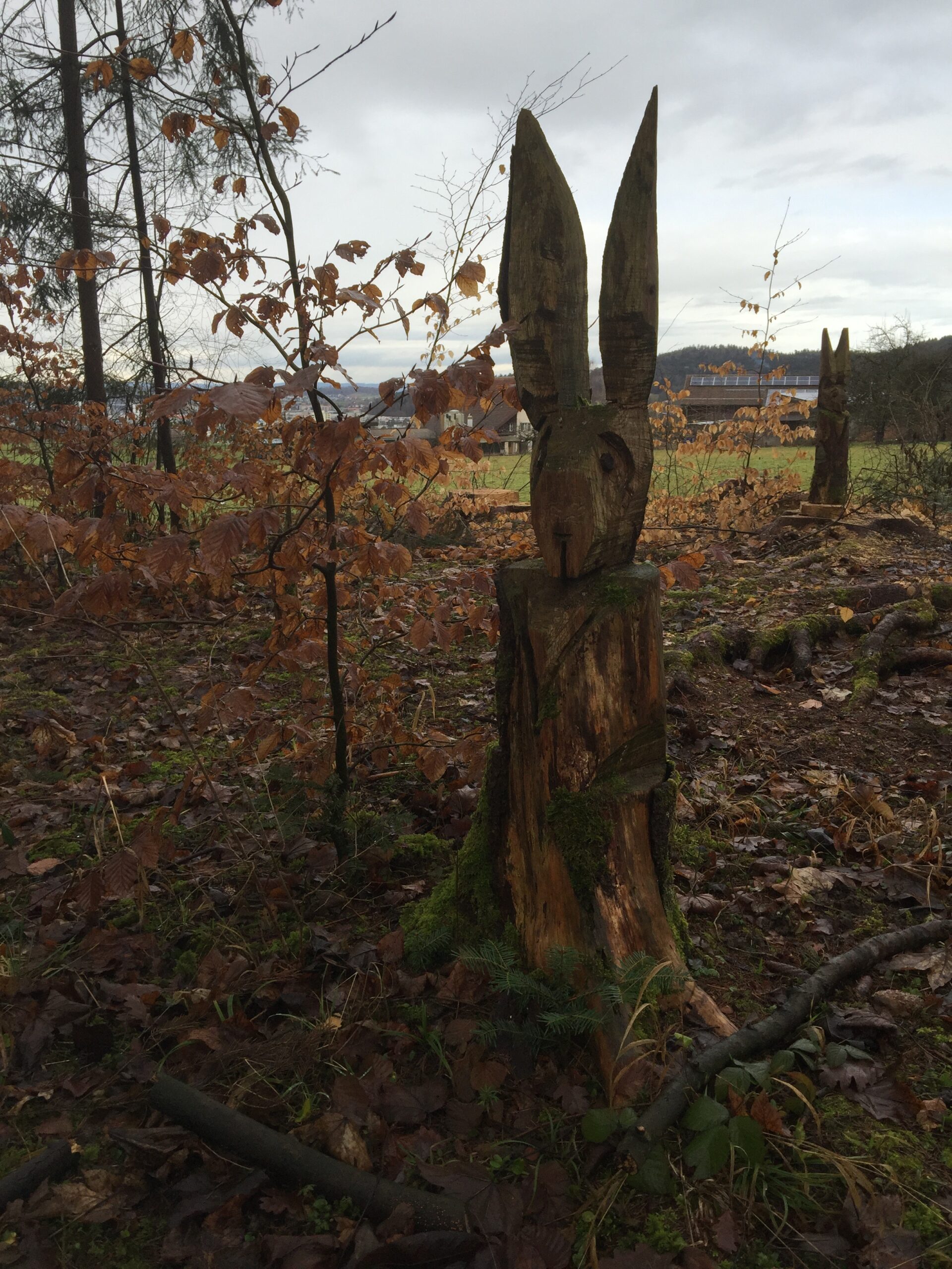 Les lapins de Winterthur