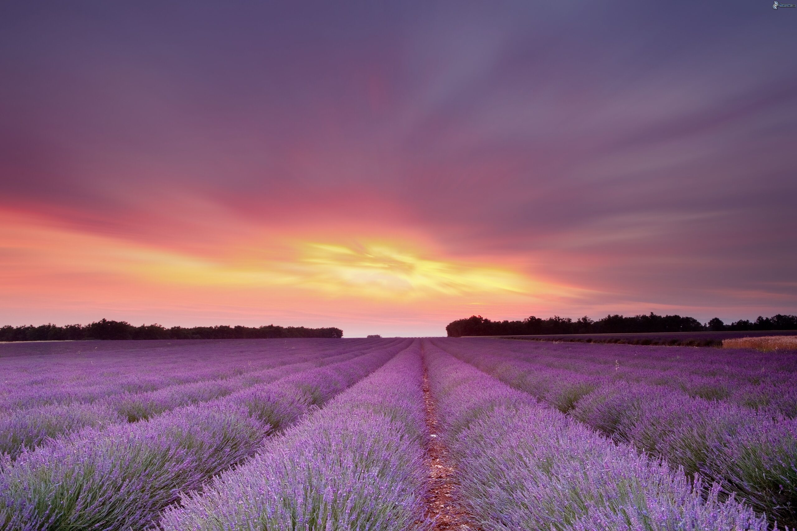 La couleur du soir