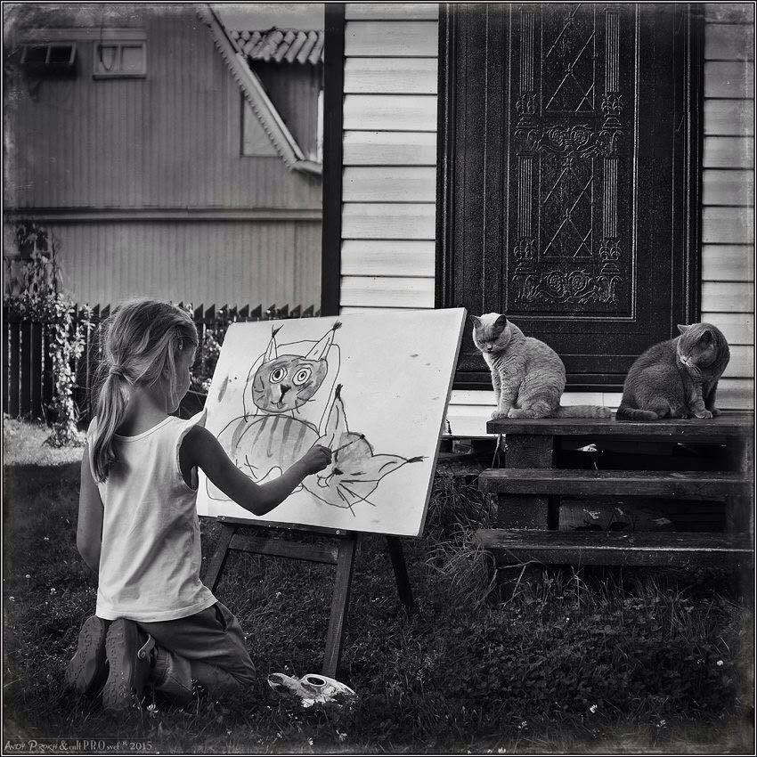 Dessine-moi un matou