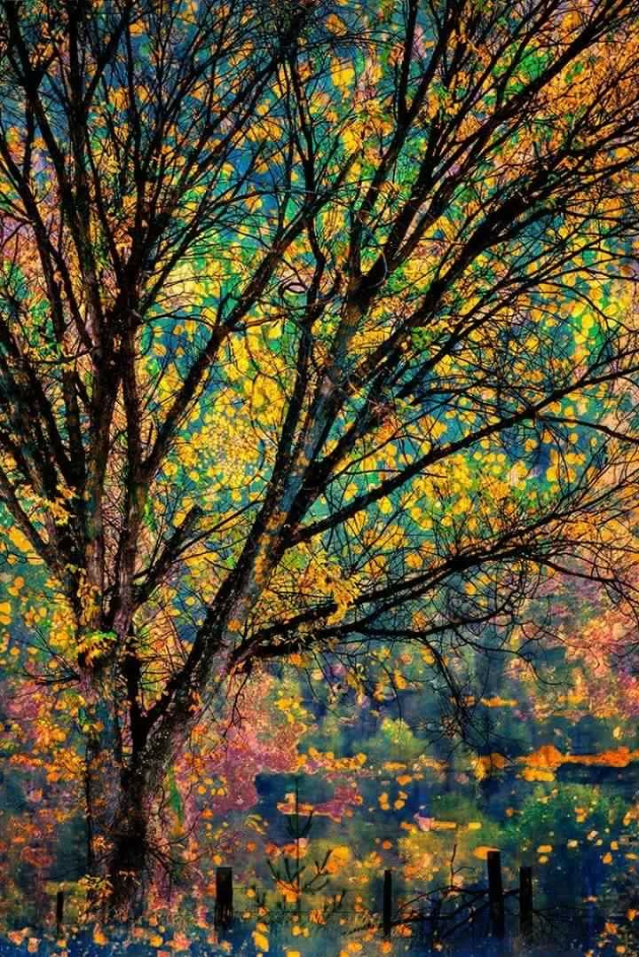 Sous les couleurs de l’amour