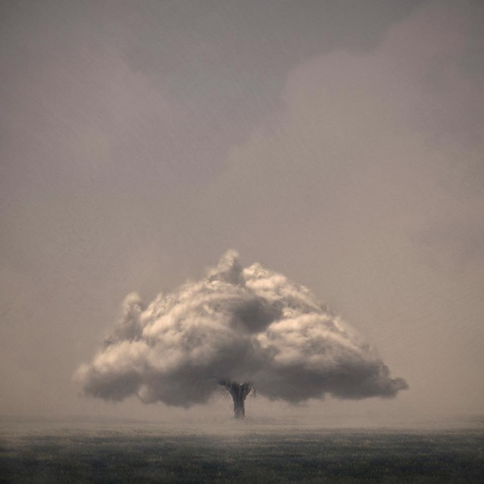 L’arbre à nuages