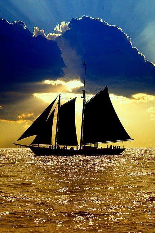 Sur la mer d’or