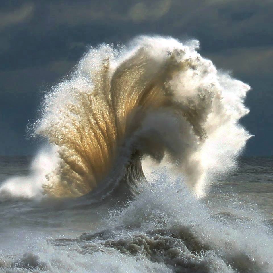 La vague Expressionniste