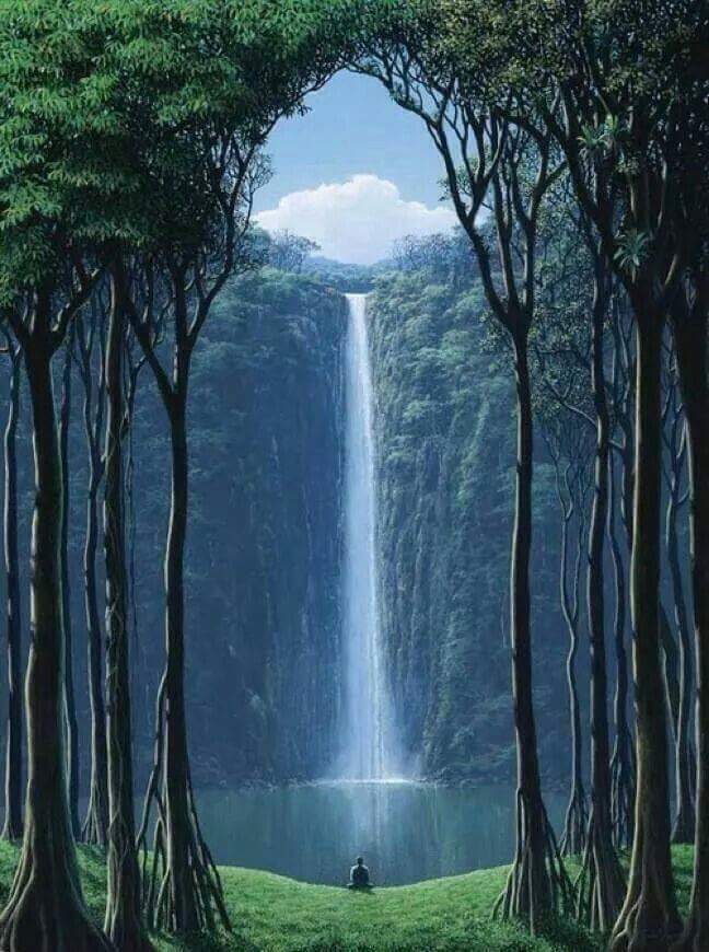 La cascade de l’arbre