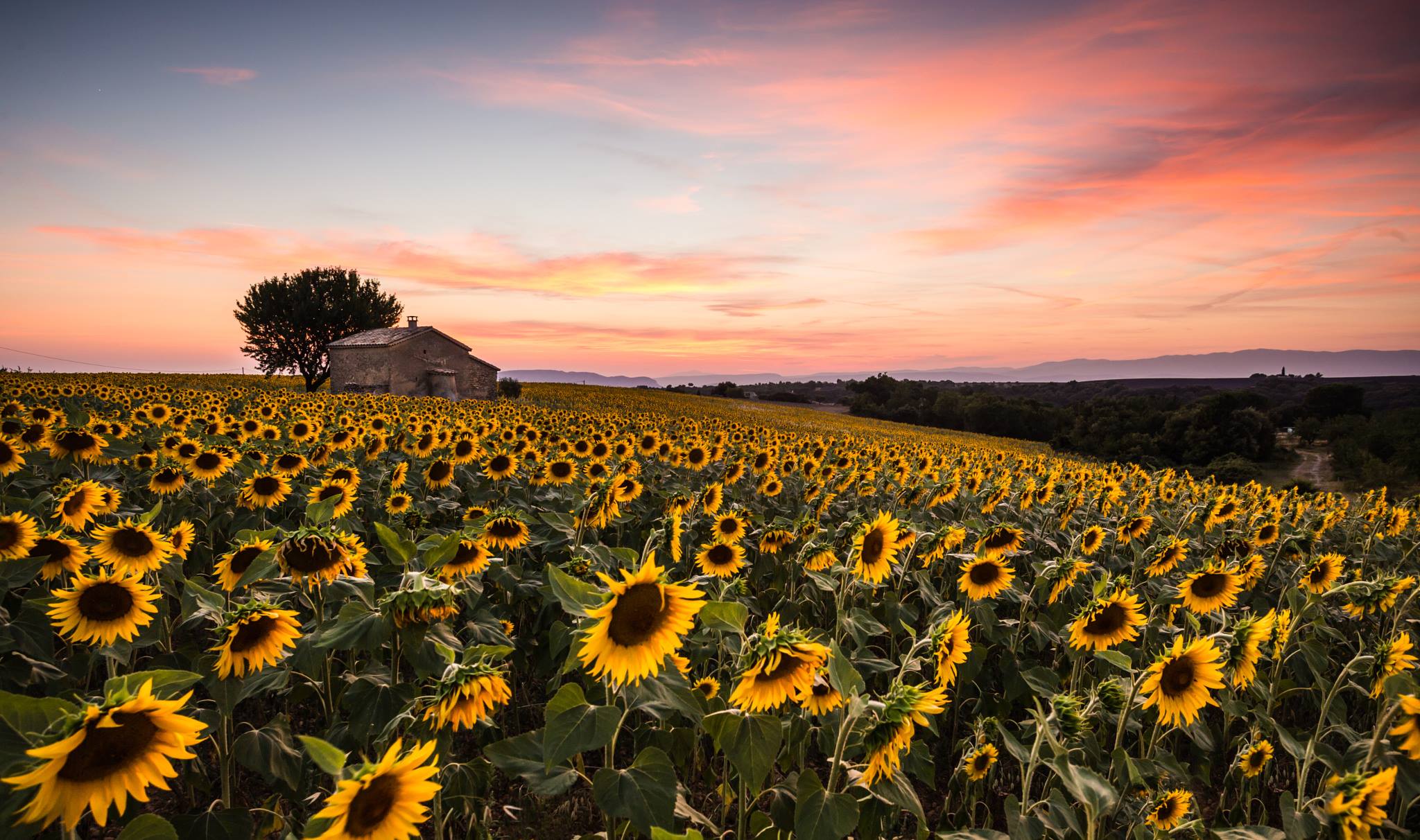 Le coucher des mille soleils