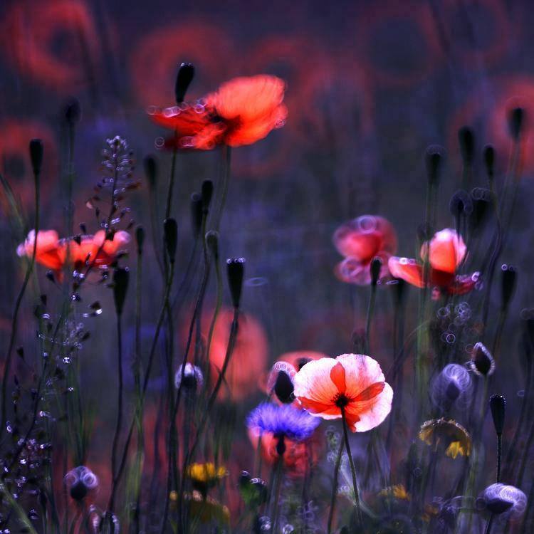 Vivement le printemps ?