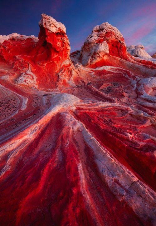SOS Terre