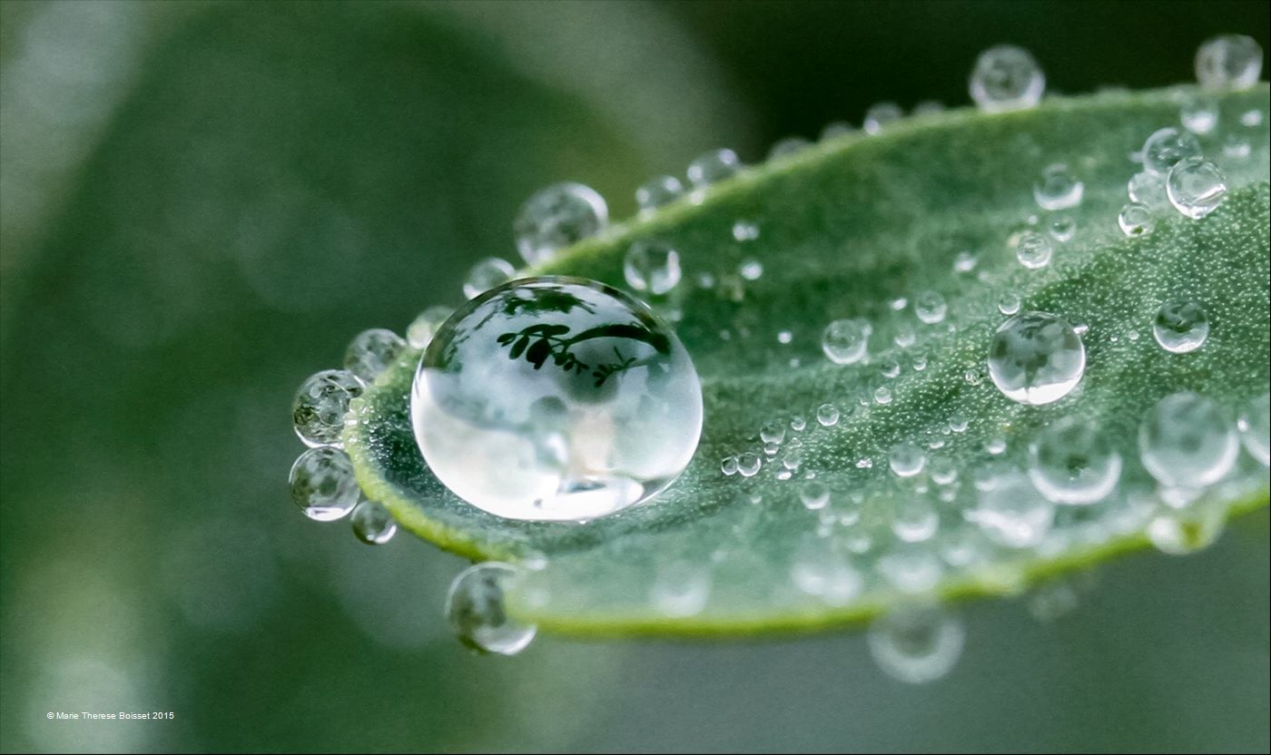 L’eau messagère