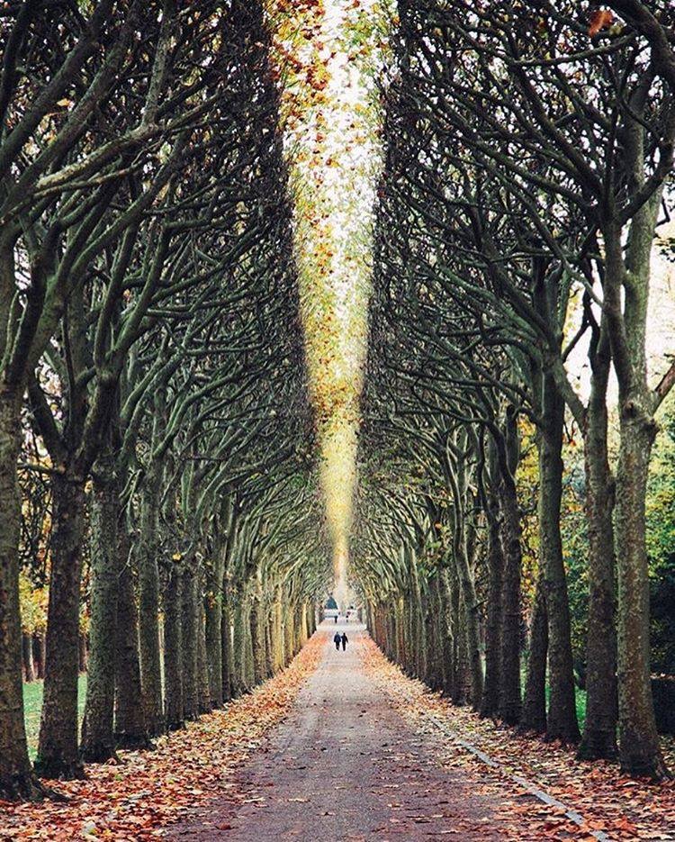 Le chemin de l’âme