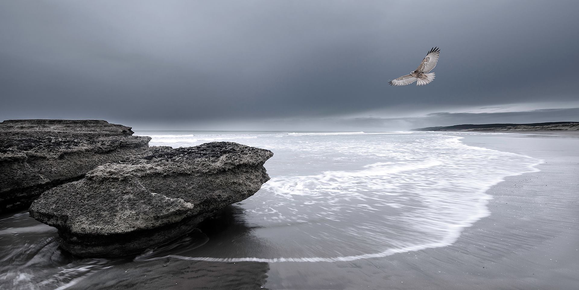 Les ailes d’écume