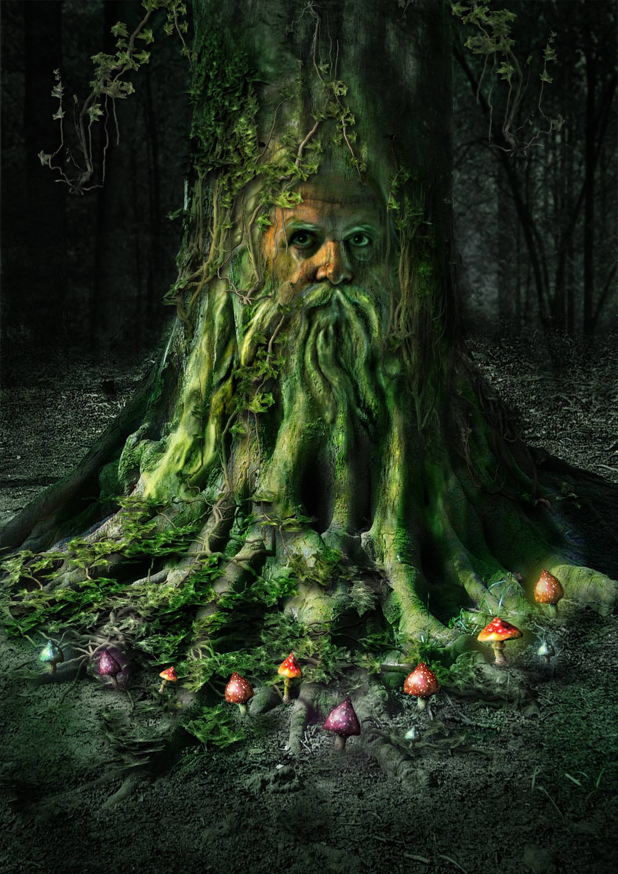 Le gardien des forêts