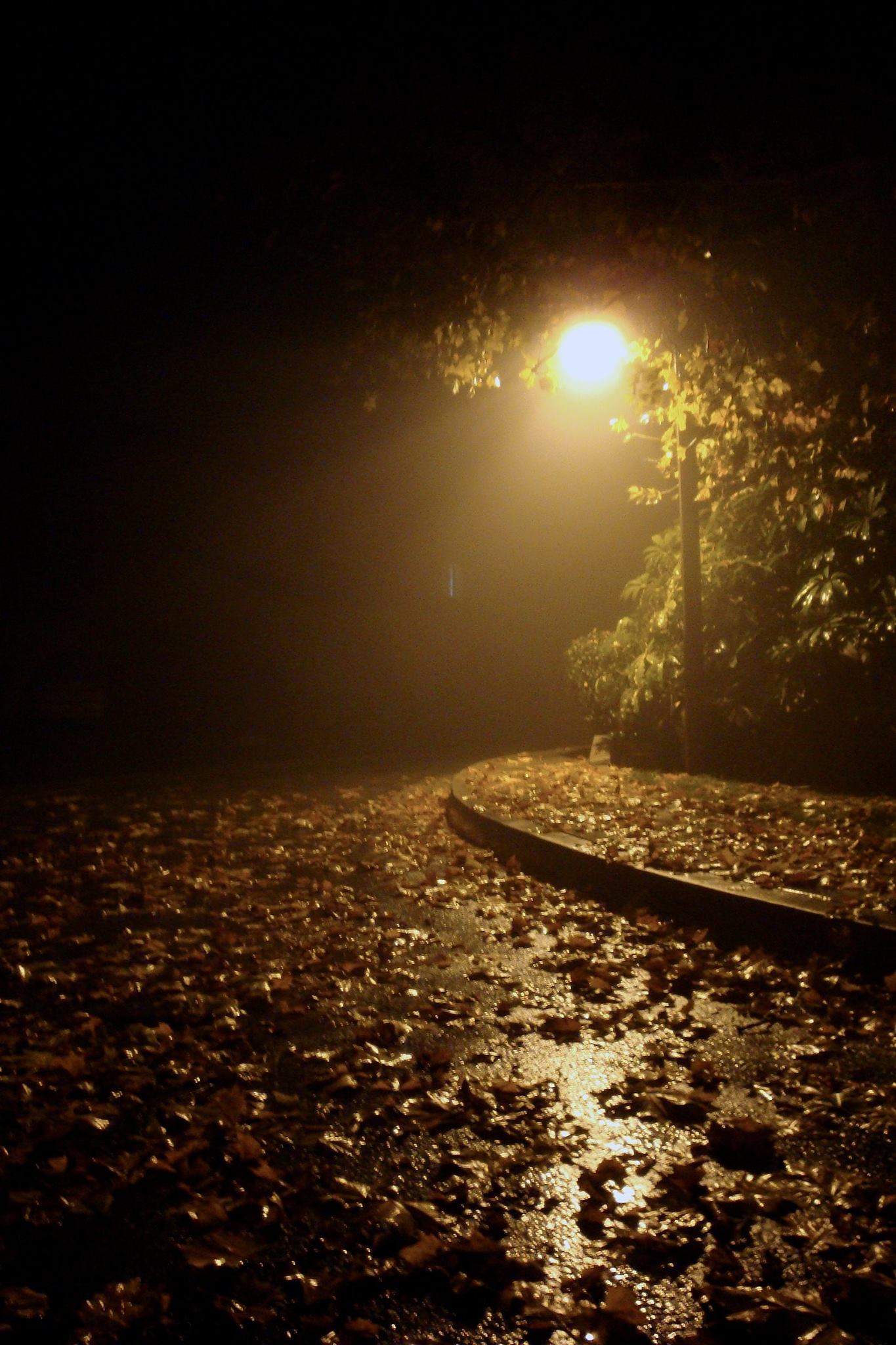 Rue des Lilas