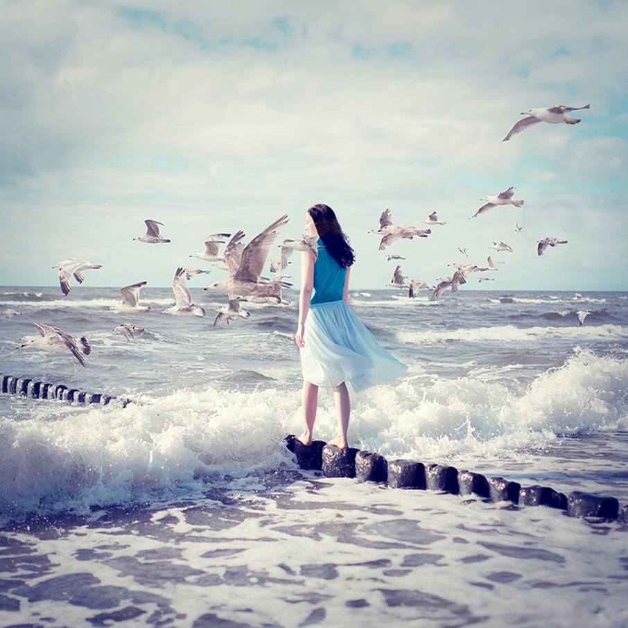 Le gué des oiseaux