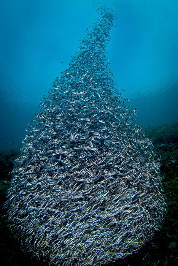 Une goutte d’eau dans l'océan