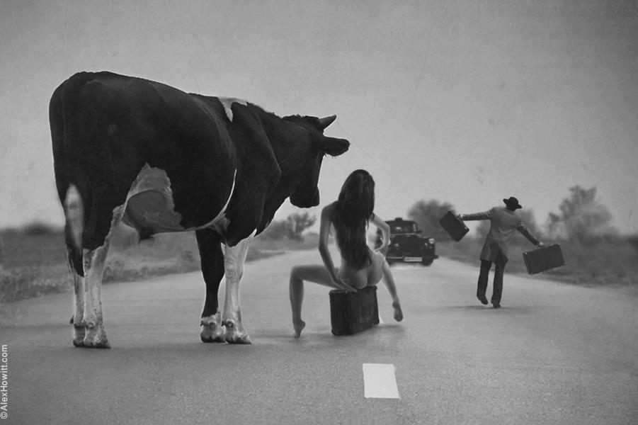 La vache, la femme et le valet