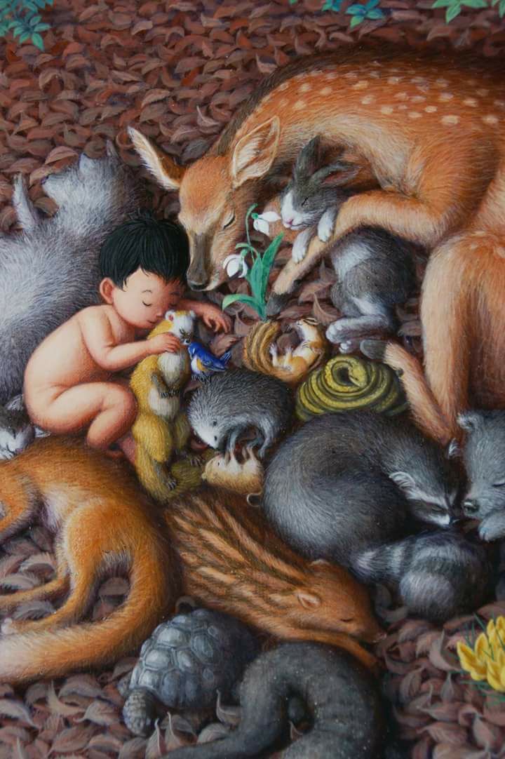 Image galerie