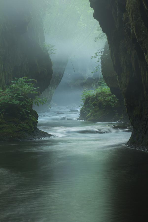 Atmosphère timide