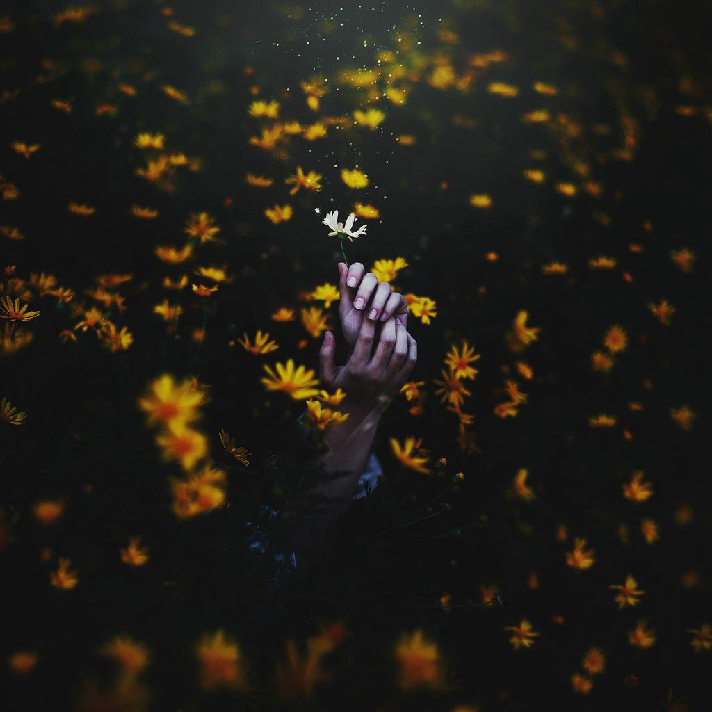 La reine des fleurs