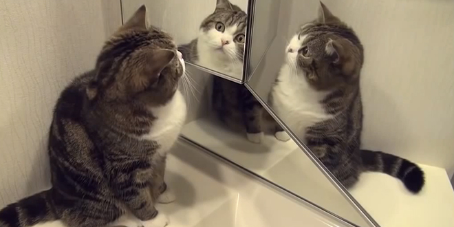 Toi est moi