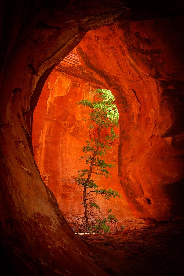 La terre matricielle