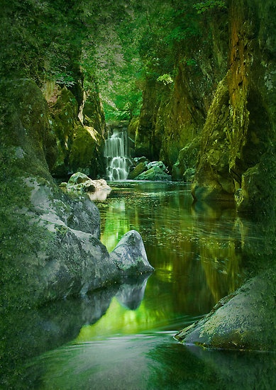 Le Grand Vert