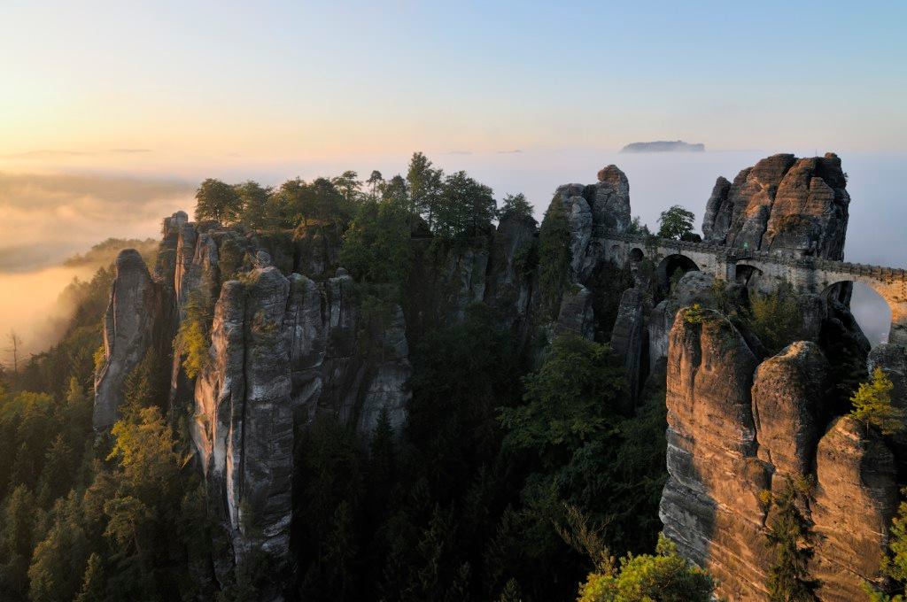 Très, très loin des roseaux pensants