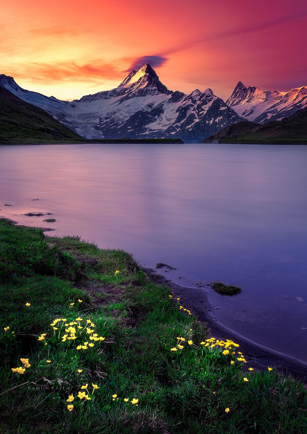 La Suisse violette