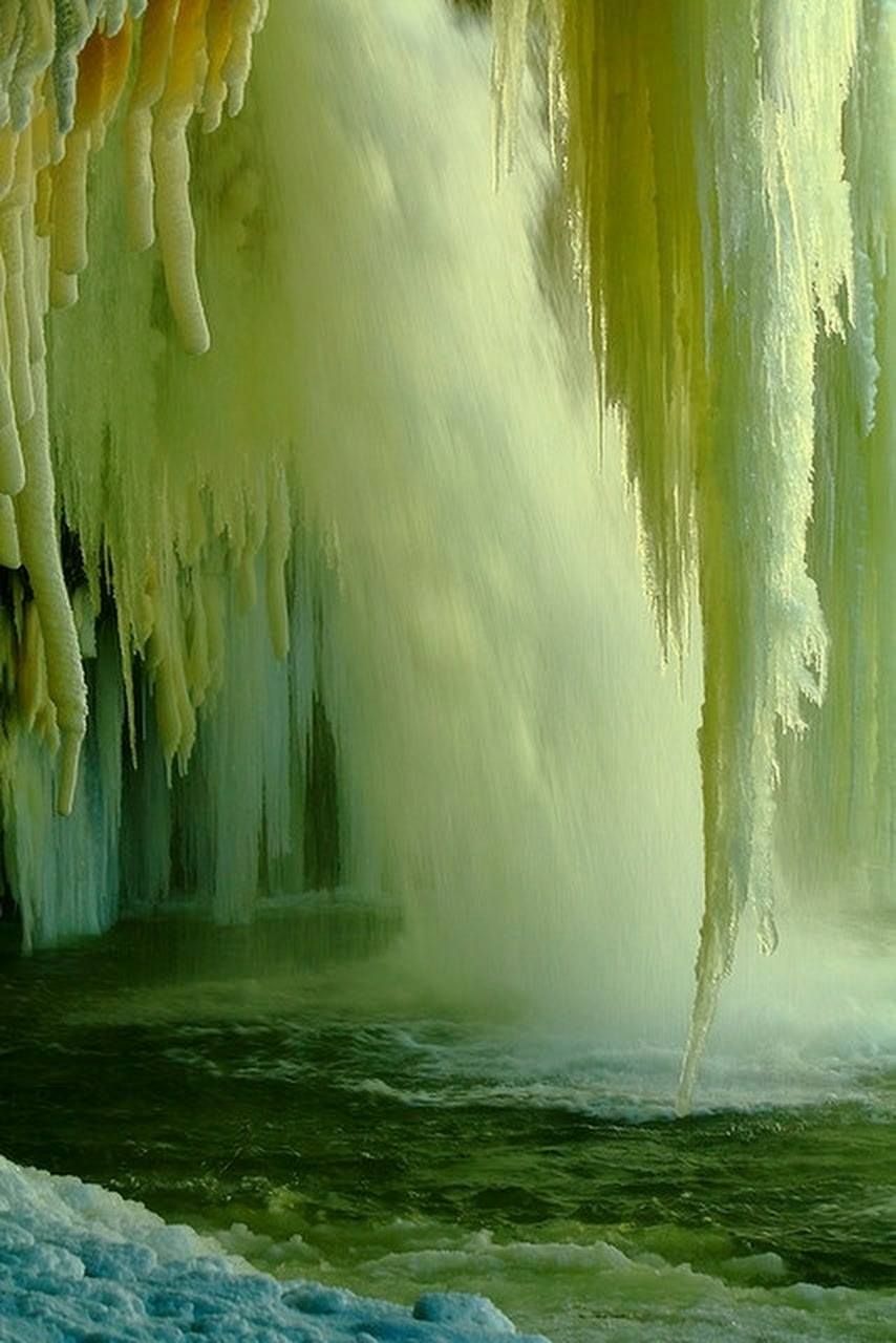 La passion verte