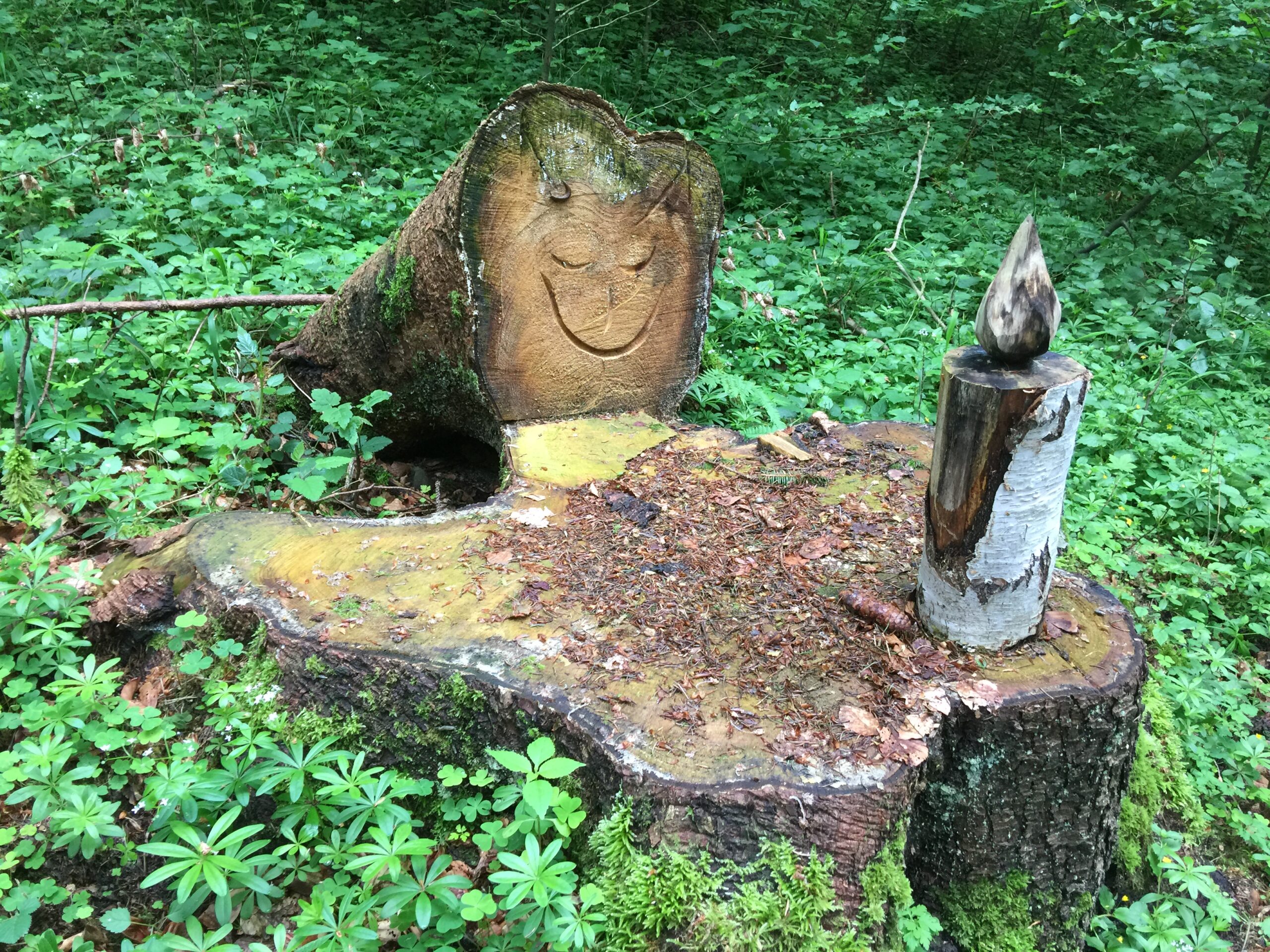 L’autel de la forêt