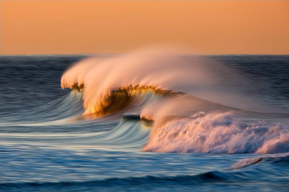 La vague bravache