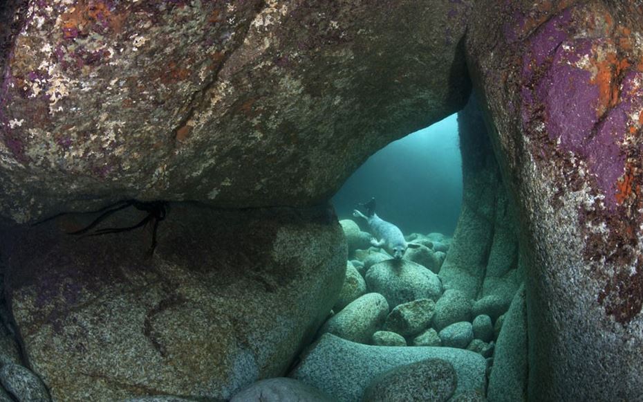 Le passage englouti
